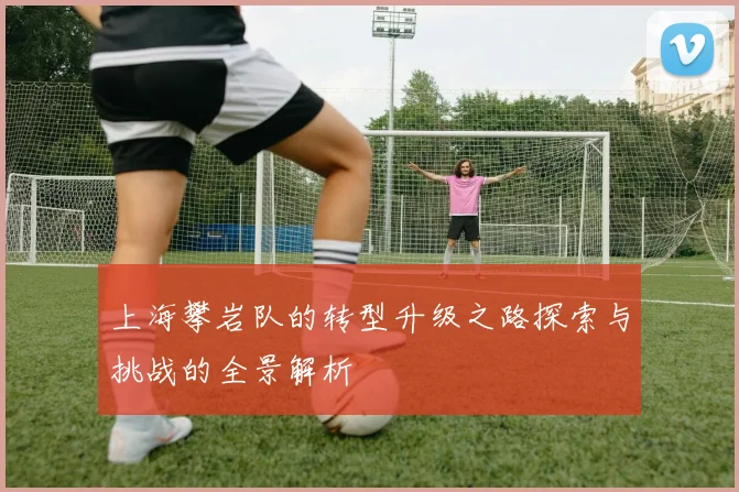 上海攀岩队的转型升级之路探索与挑战的全景解析