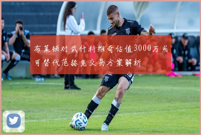 布莱顿对武什科维奇估值3000万或可替代范赫克交易方案解析