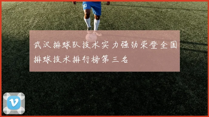 武汉排球队技术实力强劲荣登全国排球技术排行榜第三名